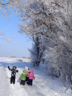 Мороз и солнце, день чудесный !!!.